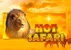 Hot Safari